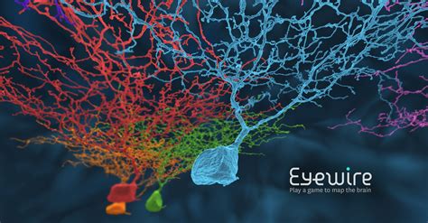 Eyewire .